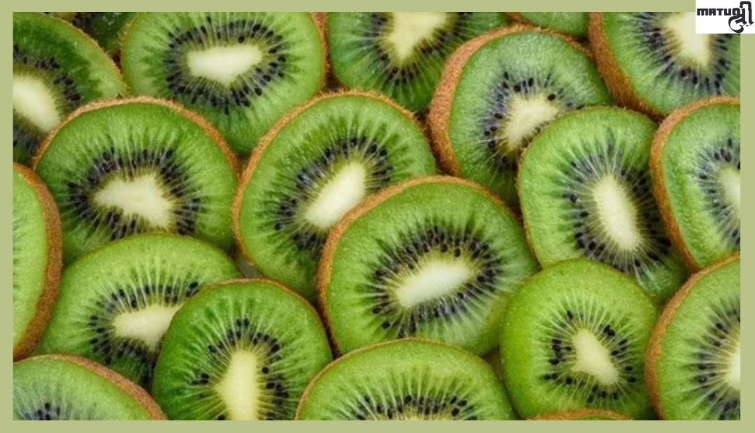 Kiwi fruit is ranked at the top of the nutrient-dense fruit pyramid. Now learn about its many nutritional and health benefits