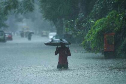 A holiday has been declared in the schools of these districts as the rainy conditions persist in Gujarat