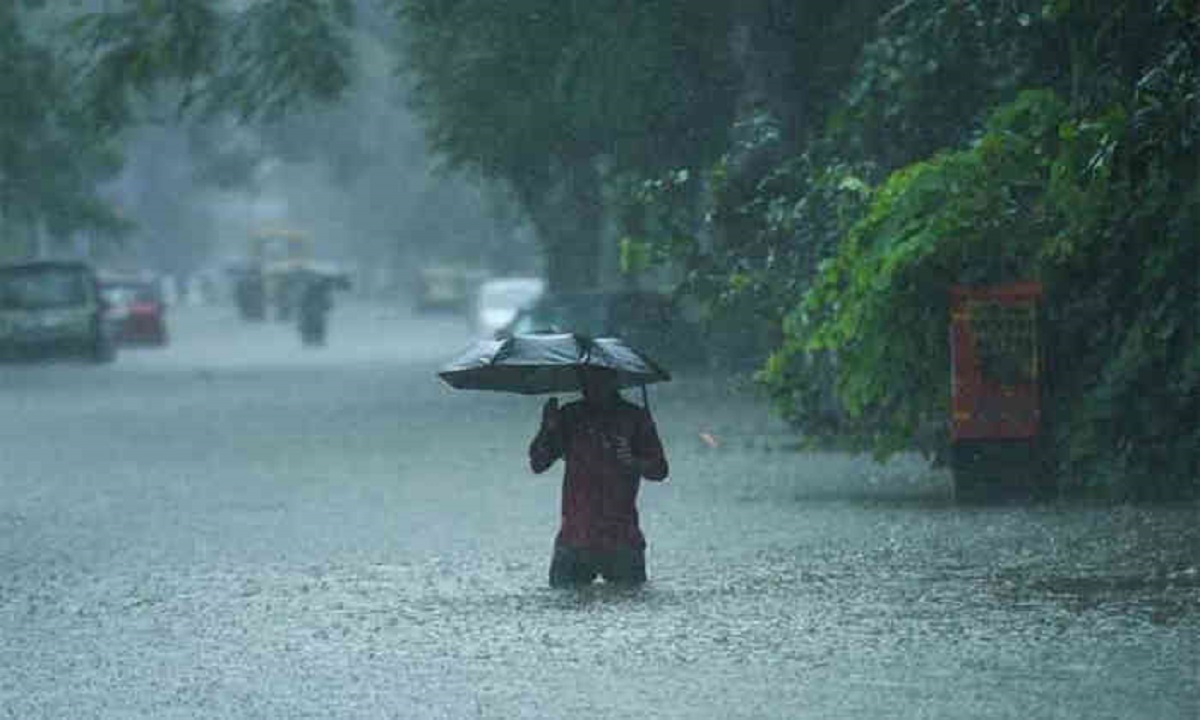 A holiday has been declared in the schools of these districts as the rainy conditions persist in Gujarat