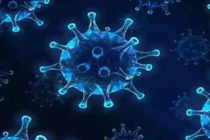 Chandipura virus outbreak continues in Gujarat 65 deaths cases cross 55