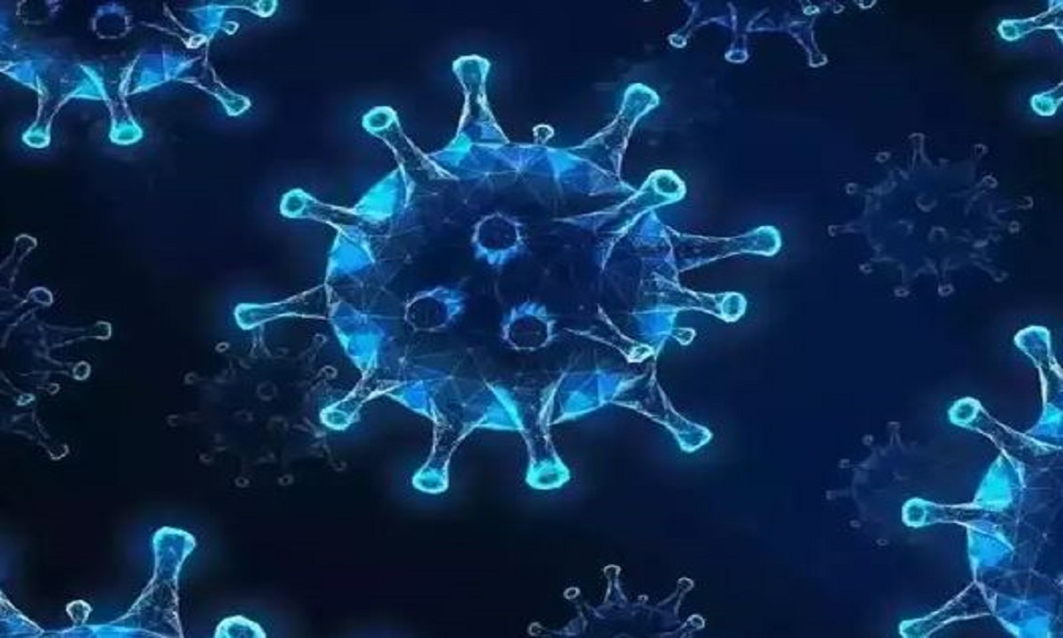 Chandipura virus outbreak continues in Gujarat 65 deaths cases cross 55