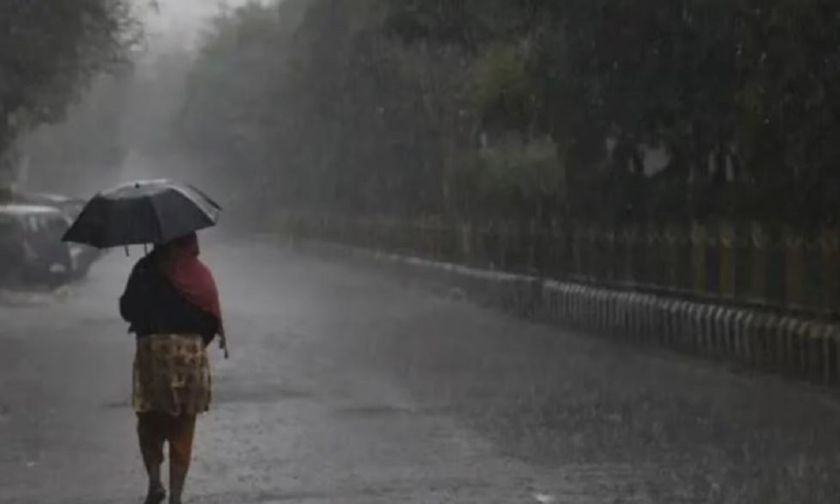 Meteorological department has forecast Meghraja rain will be scattered in 11 districts